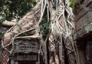 Temple du Ta Prohm