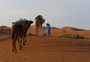 desert_nomade