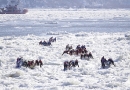 canot sur glace