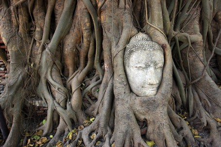 Ayutthaya-Wat-Mahathat