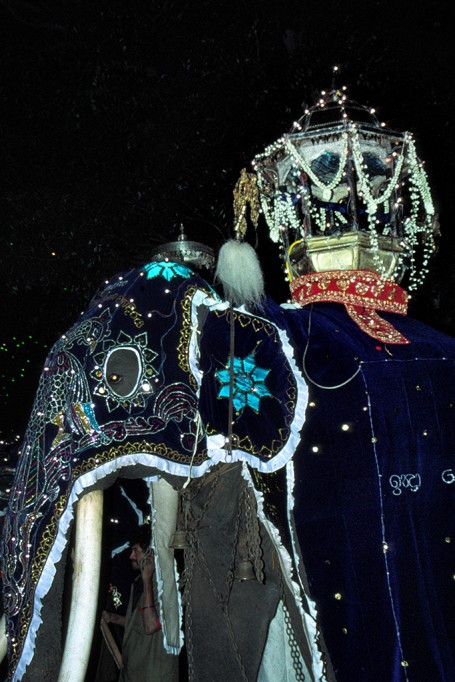 Perahera12