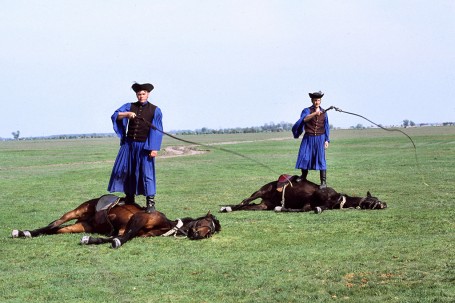Cosaques chevaux à terre