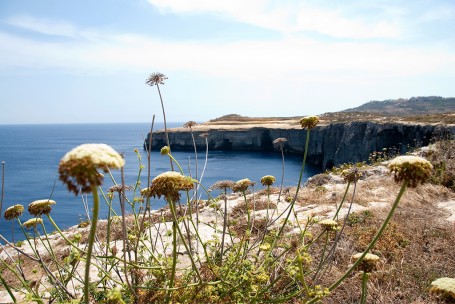 paysage Malte
