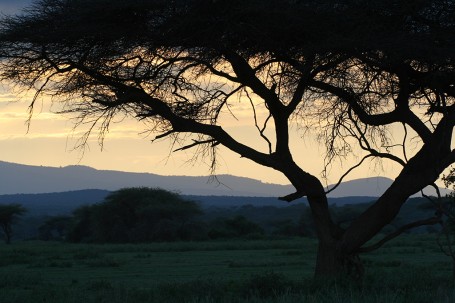 Coucher de soleil sur la savane