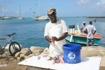 Saint-Martin, une île, deux âmes, des facettes infinies
