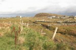 Fumées d’or en Irlande, le saumon fumé