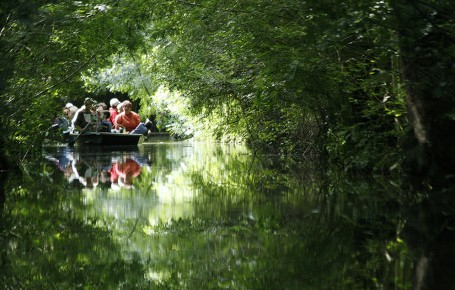 Visite des marais poitevin 