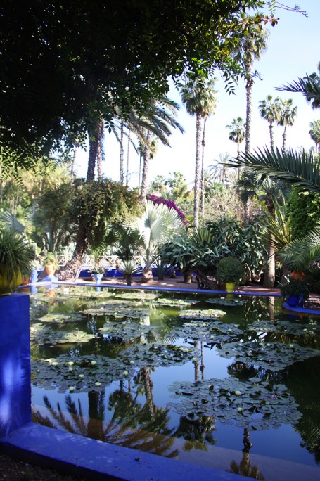 Jardin Majorelle à Marrakech