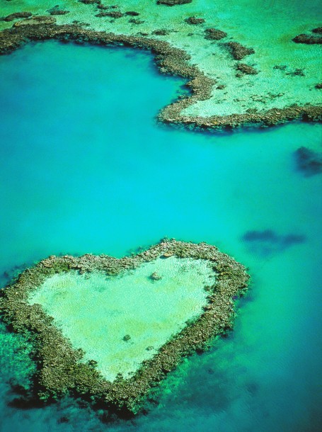 Aerial of Heart Reef, Great Barrier Reef