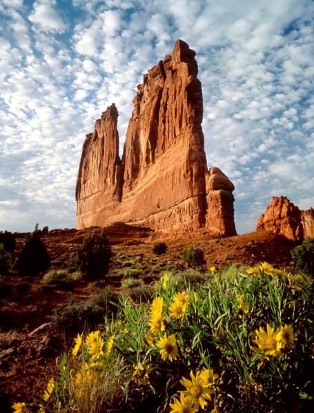 arches-national-park © Utah Office of Tourism - Tom Till