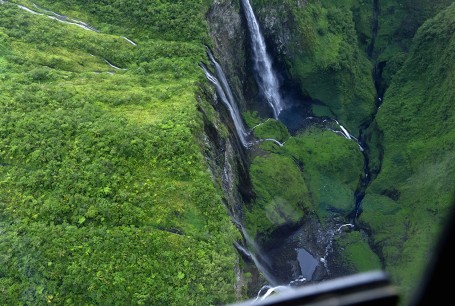 Jungle, precipite et chutes d'eau