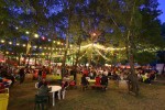 La nouvelle région Auvergne-Rhône-Alpes affiche ses festivals