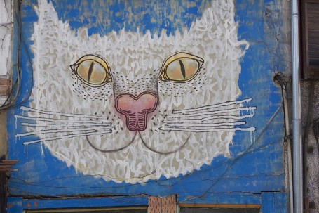 Graffiti de chat Bulgarie