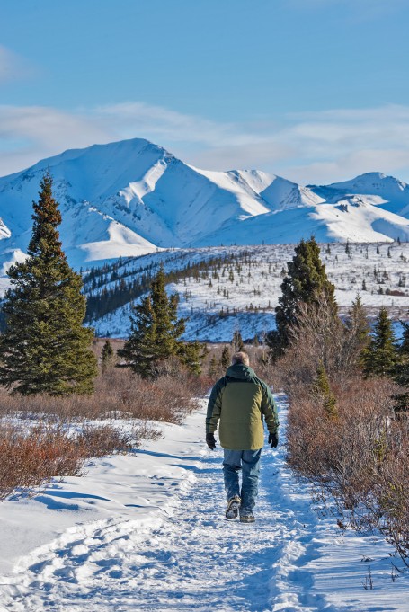 Parc Denali