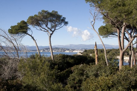 Iles Leirins Cannes