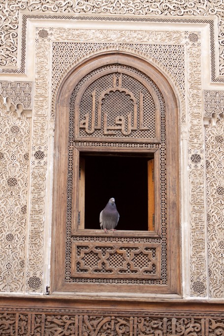 Fes © Gerard Blanc