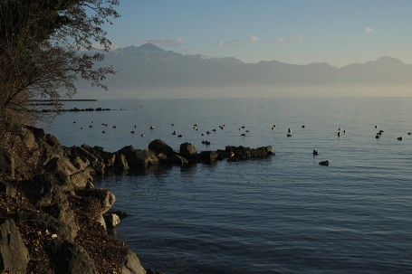 Lausanen_6250