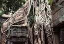 Temple du Ta Prohm