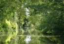 Marais Poitevin