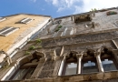 spt-img_0099