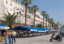 spt-img_0114