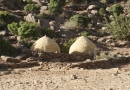 Granges des haut-plateaux