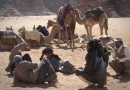wadirum