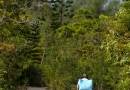 Promeneur à vélo