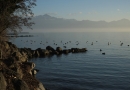 Lausanne, Vidy