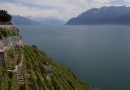 Lausanne, Lavaux