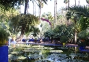 Jardin Majorelle