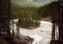 Chutes Athabasca