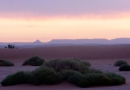 desert