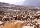 Désert à Oman