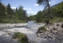 mg_2844