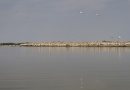 _MG_0115+