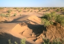 Grand Sud marocain