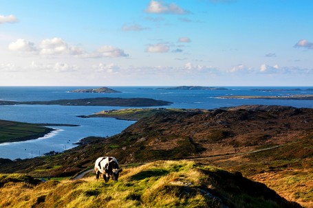 Entre les lacs du Connemara