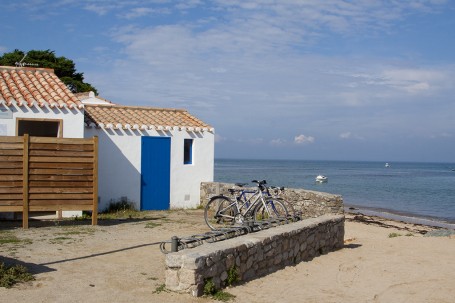 Noirmoutier, du grand air de l’Atlantique au parfum des mimosas